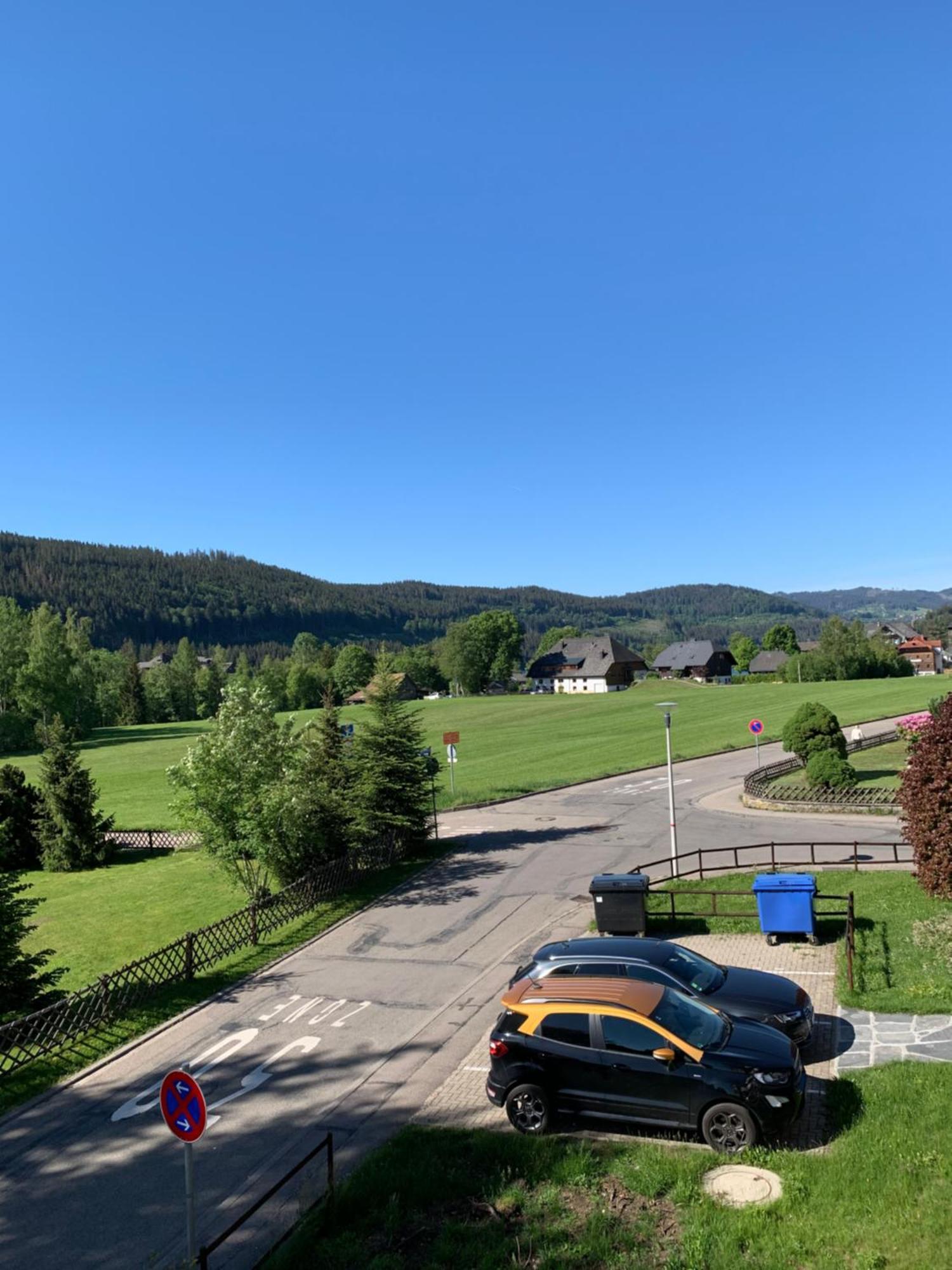 Ferienwohnung Homburger - Titisee Eksteriør billede