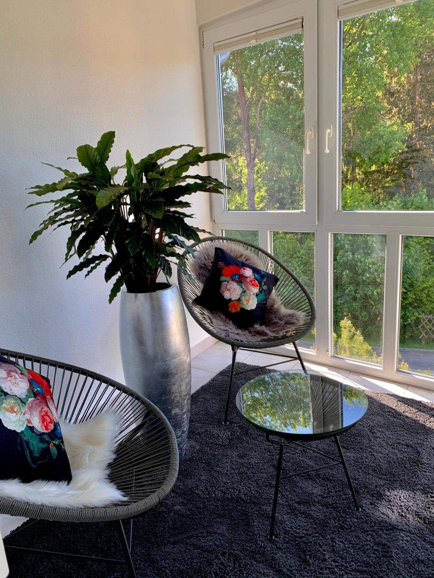 Ferienwohnung Homburger - Titisee Eksteriør billede